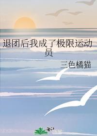 退网后我成为极限运动选手免费
