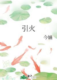 崽和cp区别