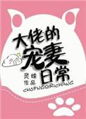 大佬宠妻日记