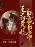 王府小媳妇原著
